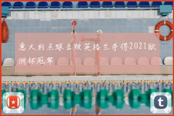 意大利点球击败英格兰夺得2021欧洲杯冠军
