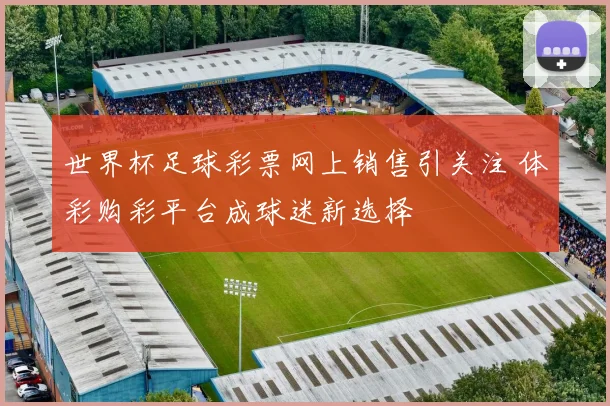 世界杯足球彩票网上销售引关注 体彩购彩平台成球迷新选择