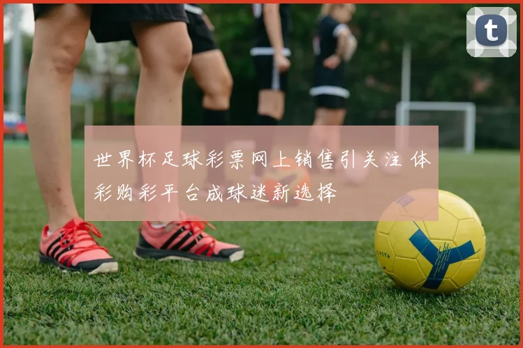 世界杯足球彩票网上销售引关注 体彩购彩平台成球迷新选择