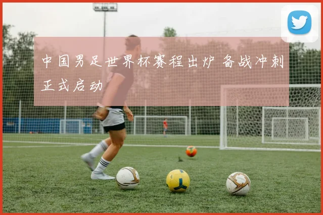 中国男足世界杯赛程出炉 备战冲刺正式启动